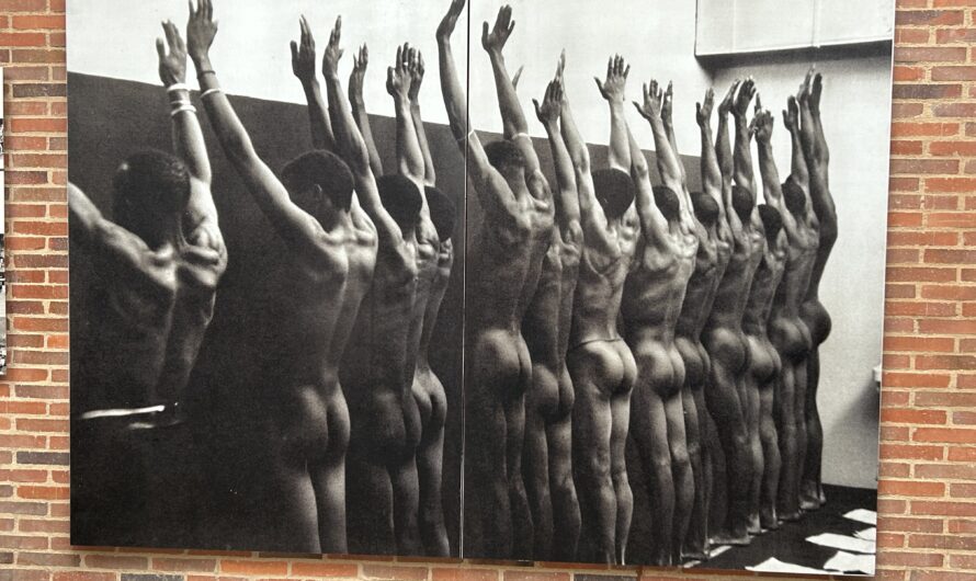 Johannesburg: Apartheid Museum & Constitution Hill
