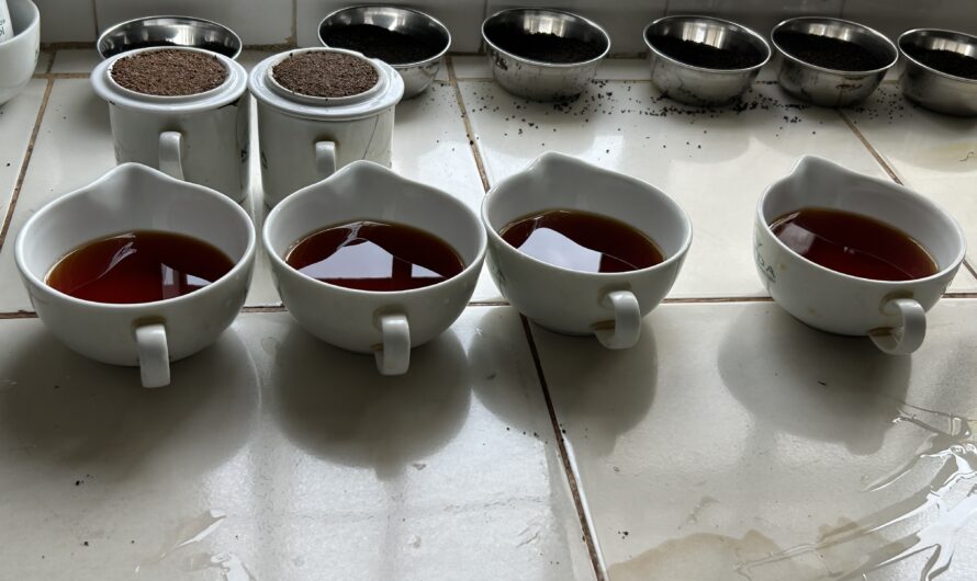Kakamega Tea Factory (KTDA) Kenya
