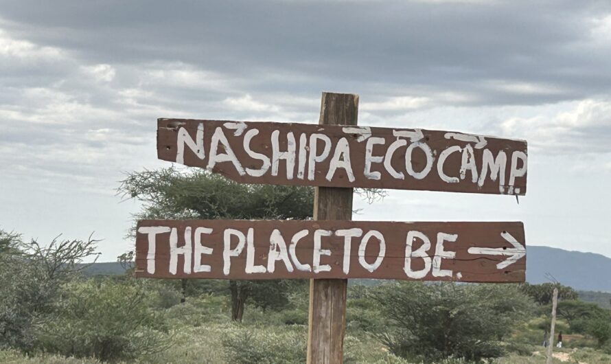 Nashipa Eco Camp: A Safari Dream Come True